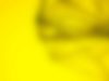  Et harum quidem rerum facilis est et expedita distinctio am libero tempore
